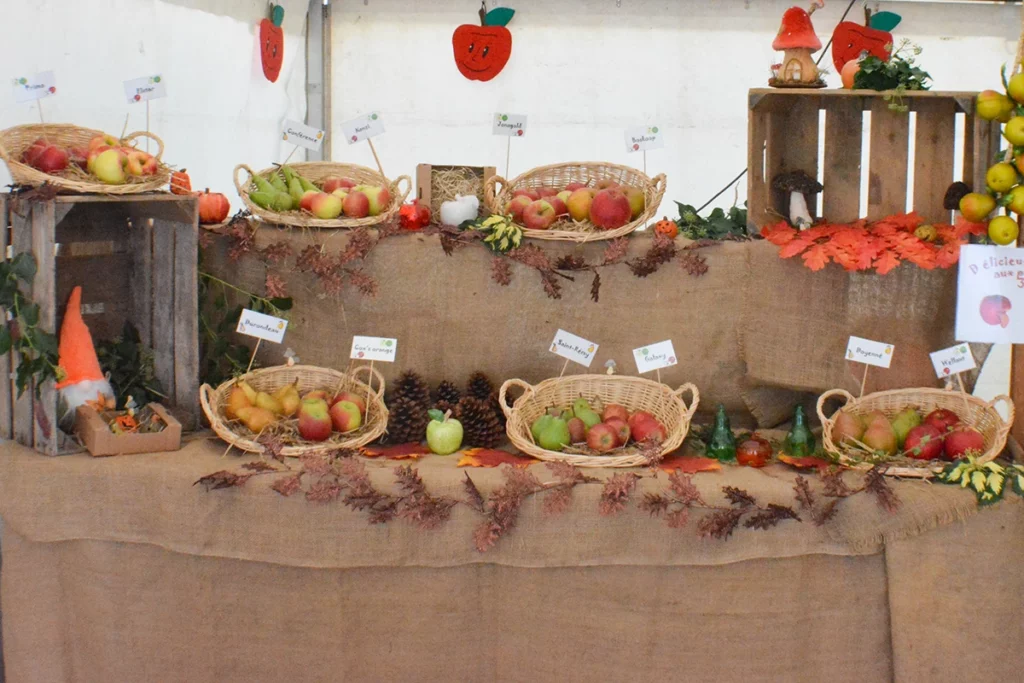 Vente de fruits à la fête du fruit de Magnée